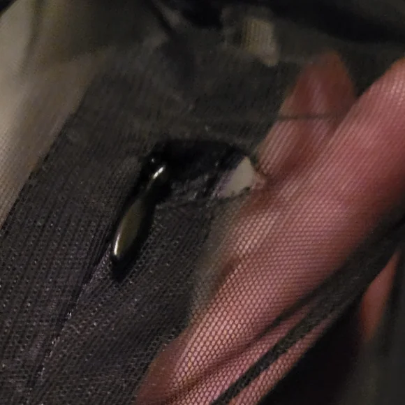 Sheer Killstar Dress - Picture 3 of 4